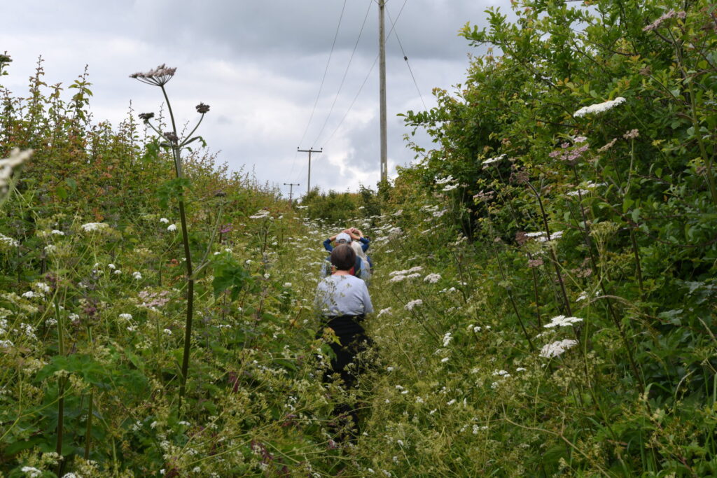 Illmington Green 12th June 2024