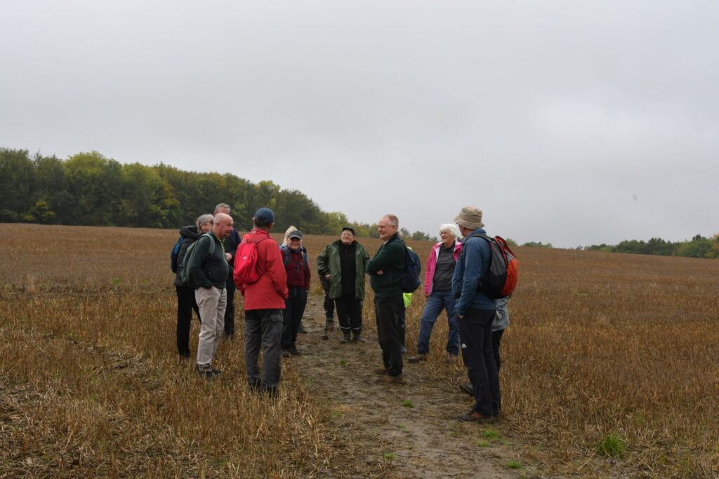 Combrook 9th Oct 2024