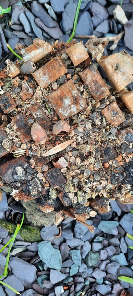 Shingle