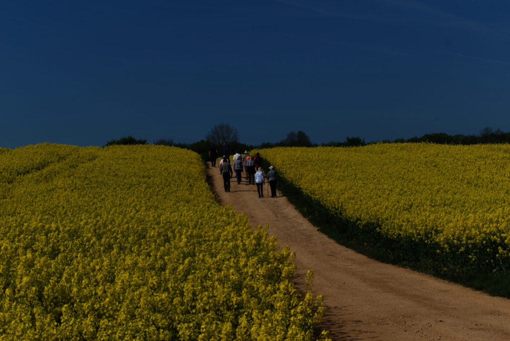 5 Milers Blockley 30th April