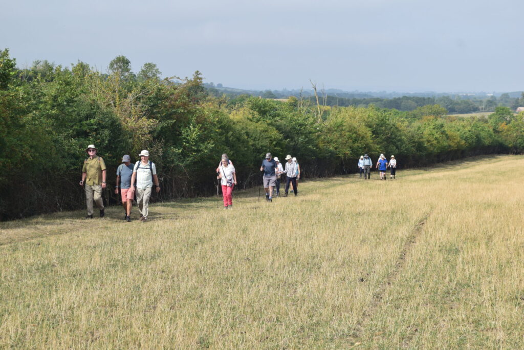 Shipston 5 milers 13th August 25