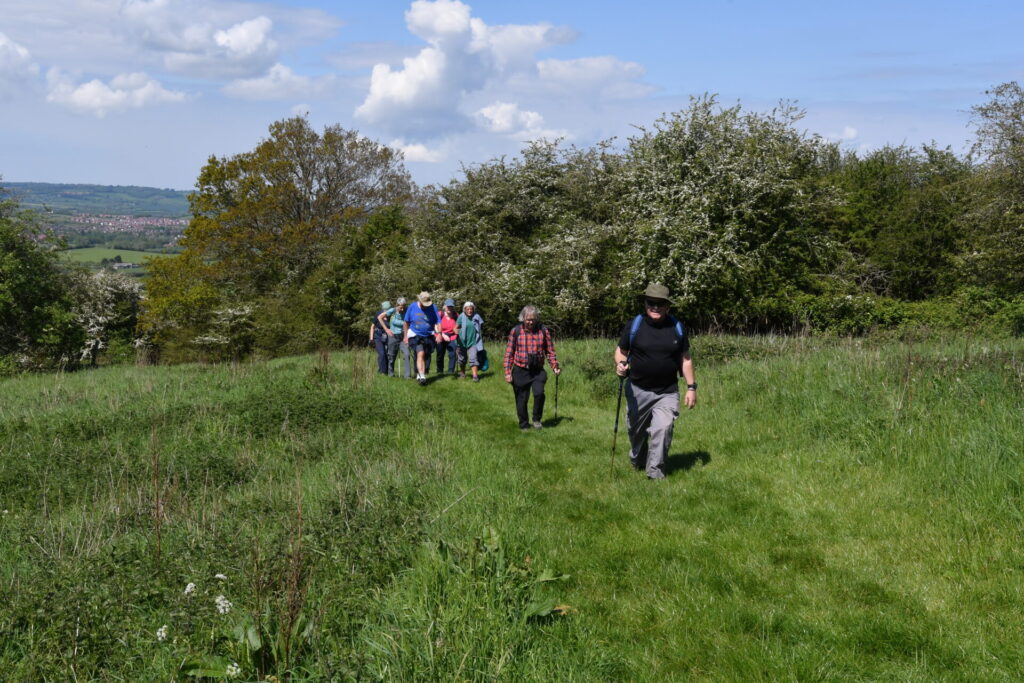 Thursday Walkers 7th May 26