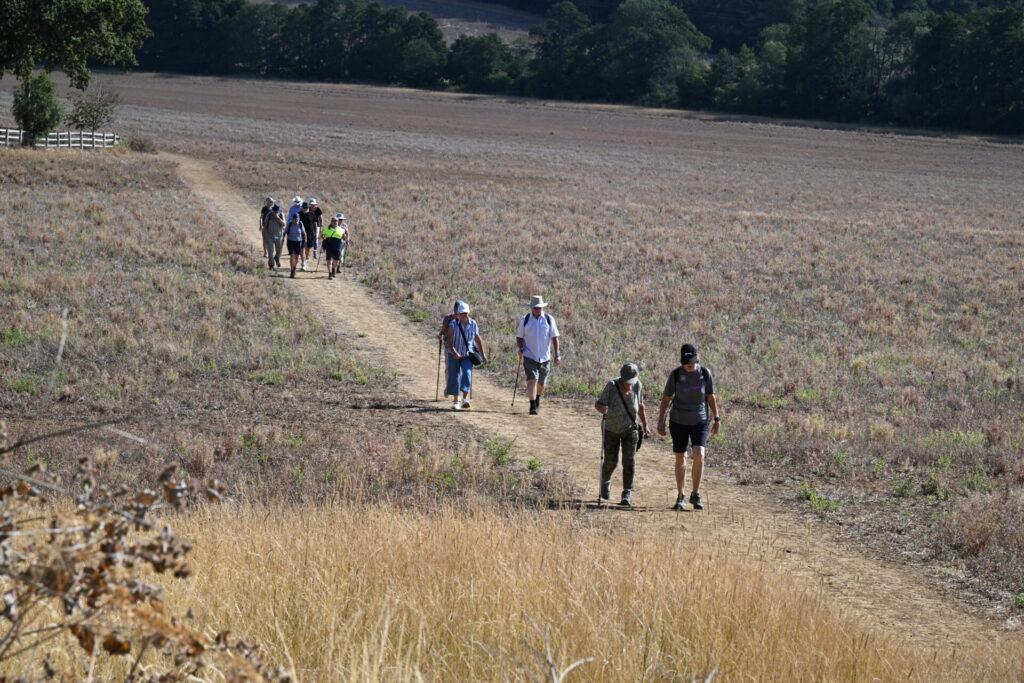 5 Milers Walk