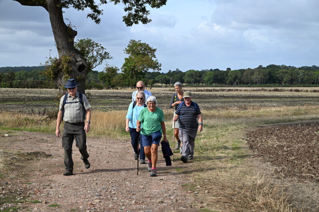 First Thursday Walking Group